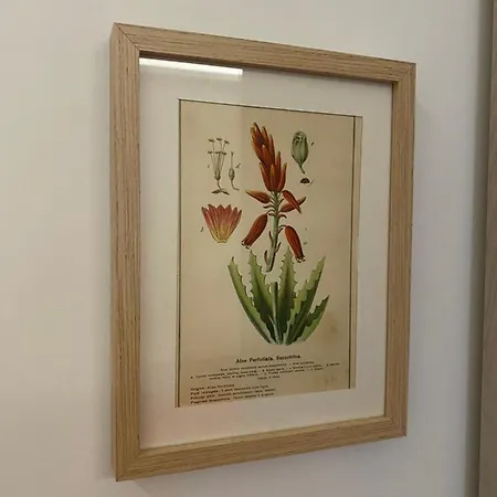 Il Giardino Nascosto Roseto Valfortore