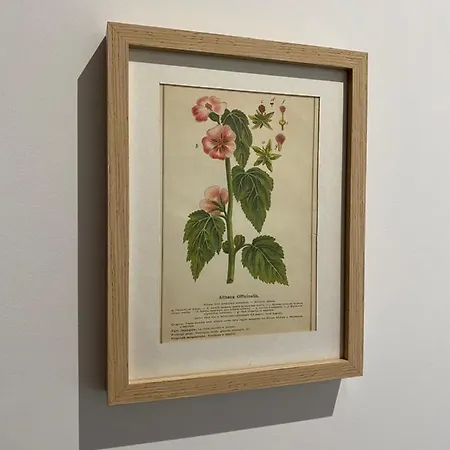 Il Giardino Nascosto Alojamento de Acomodação e Pequeno-almoço 3*