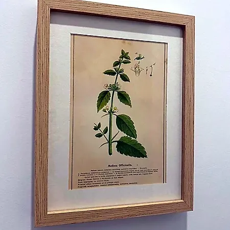 Il Giardino Nascosto Roseto Valfortore