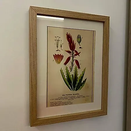 Nocleg ze śniadaniem Il Giardino Nascosto