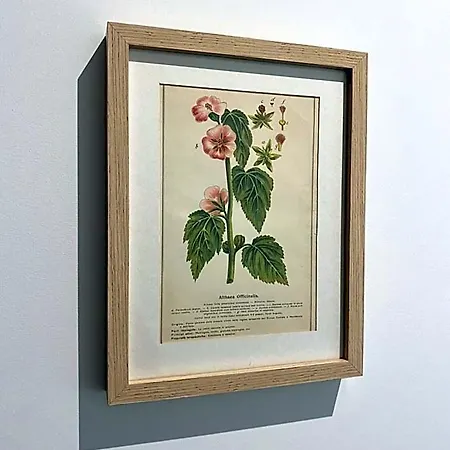 Il Giardino Nascosto Alojamento de Acomodação e Pequeno-almoço